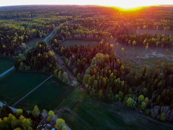High angle view of trees on field against sky