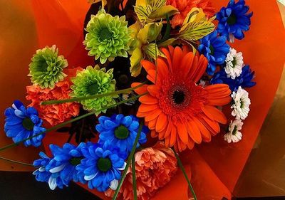 Close-up of orange flower