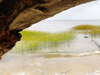 Scenic view of beach against sky