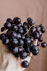 Close-up of hand holding berries