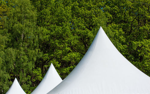 High angle view of tent amidst trees in forest