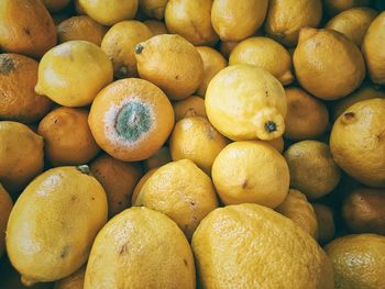 Full frame shot of fruits for sale at market stall