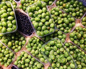 View of gooseberries and blueberries in container for sale