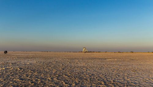 Scenic view of beach against clear sky