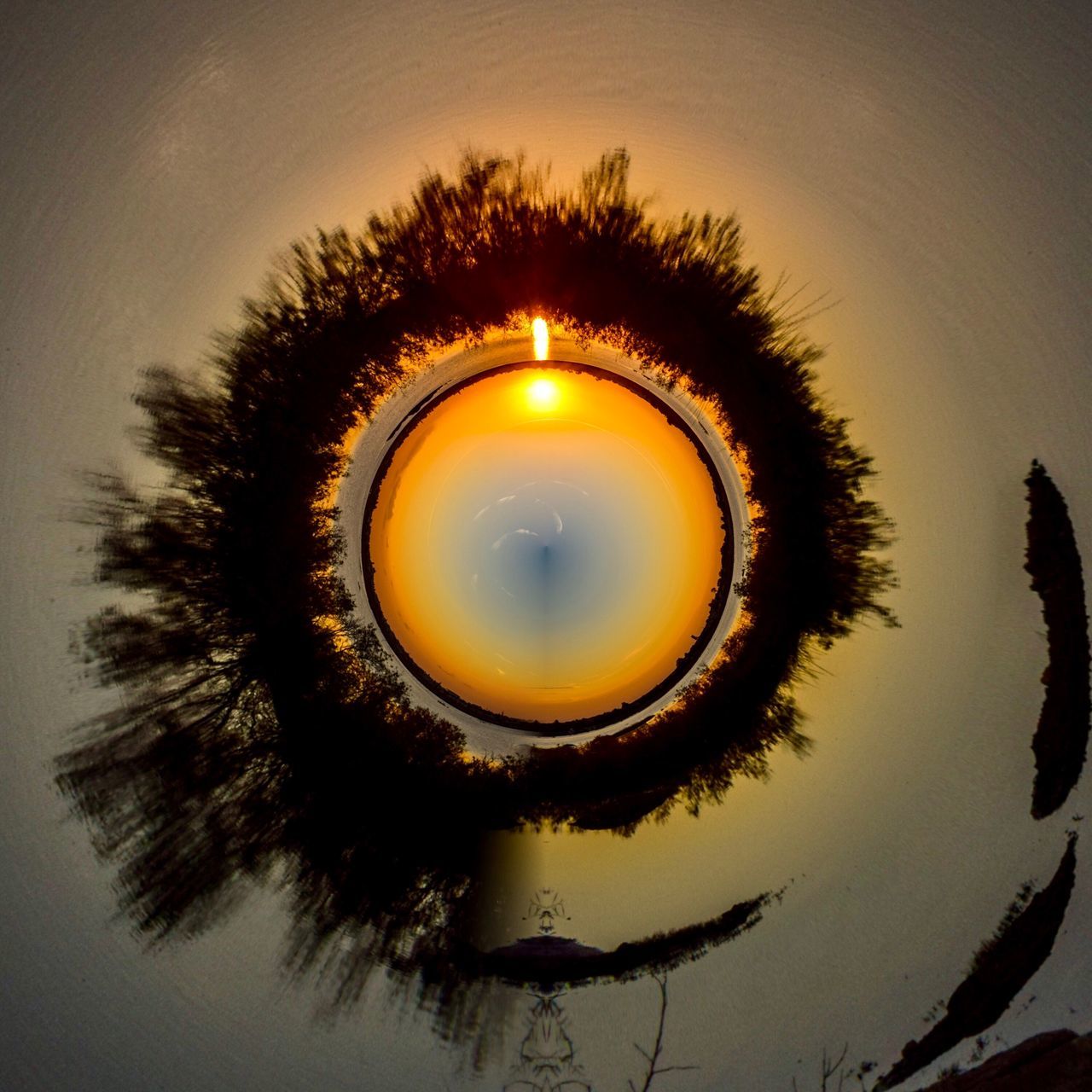 circle, geometric shape, tree, sunset, sky, reflection, nature, plant, shape, no people, silhouette, digital composite, beauty in nature, water, close-up, tranquility, outdoors, growth, design