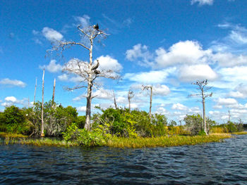 Scenic view of river against sky