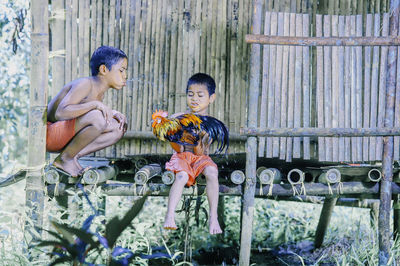 Boys with chickens on built structure