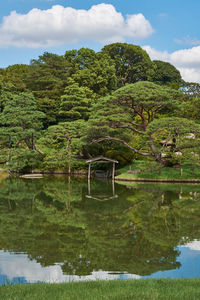 Scenic view of lake by trees against sky