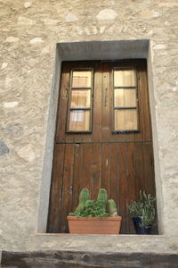 Close-up of window