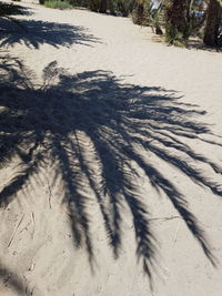 High angle view of footprints on sand at beach