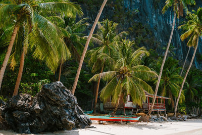 Scenic view of palm trees at beach