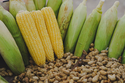 Close-up of corn