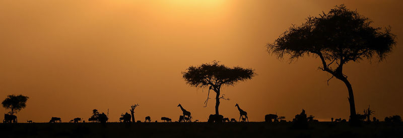 Silhouette of savanna animals and trees against sky during sunset