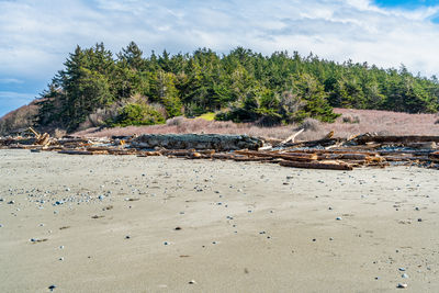 Scenic view of beach against sky