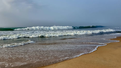 Seashore on the beach in ivory coast