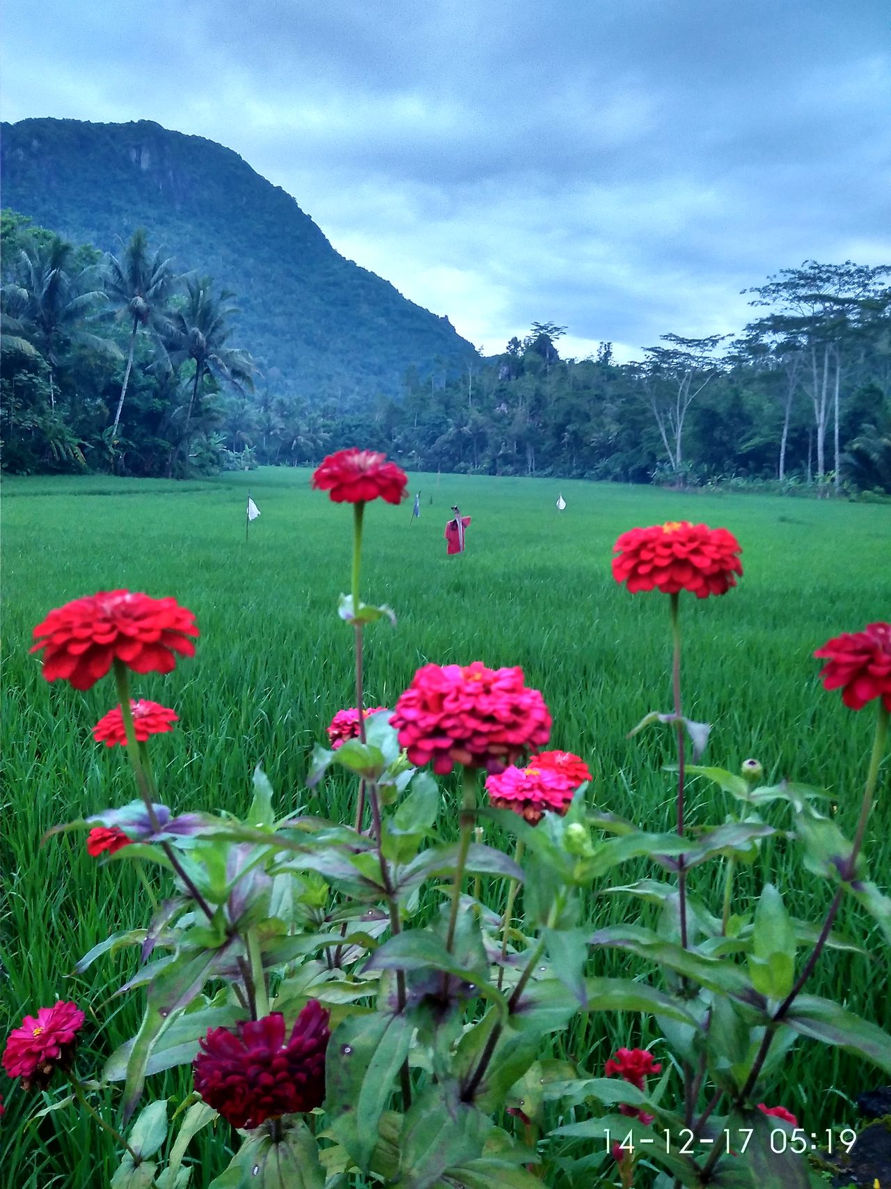 Watulimo - Trenggalek