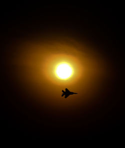 Low angle view of bird flying in sky