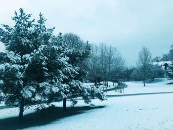 Trees on snow covered field against sky