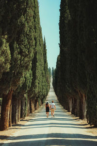 Rear view of people walking on road amidst trees