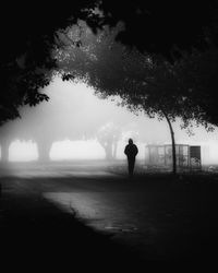 Rear view of man walking on street