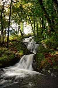 Scenic view of waterfall