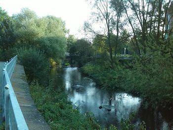 River amidst trees against sky