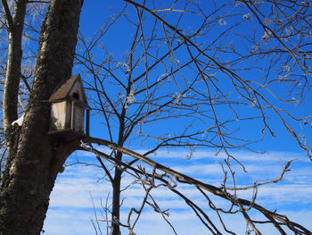 Low angle view of bare tree against blue sky