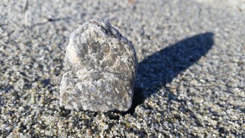 Close-up of pebbles on sand at beach