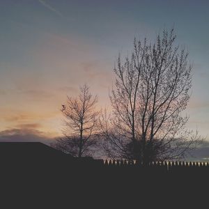 Silhouette of tree against sky during sunset