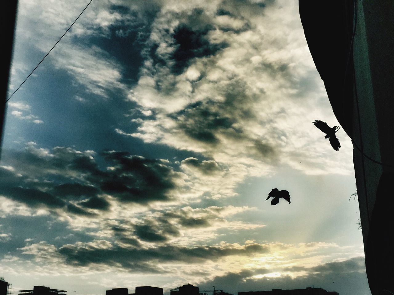 cloud - sky, sky, flying, low angle view, silhouette, nature, no people, bird, outdoors, animals in the wild, day, animal themes, beauty in nature