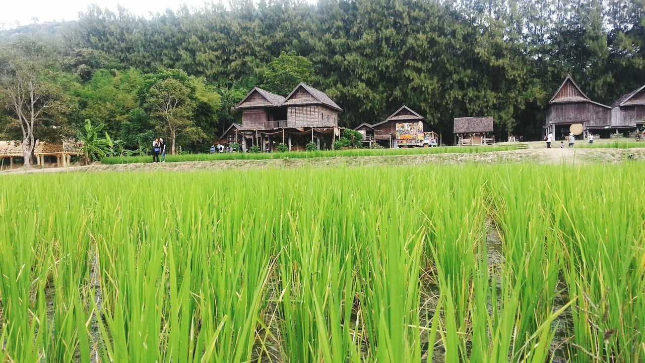Issara Travel Image