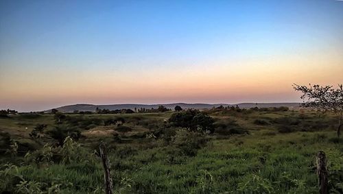 Scenic view of landscape at sunset