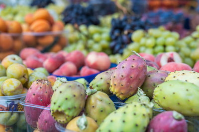 Close-up of fruits