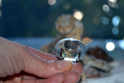 Close-up of hand holding crystal ball