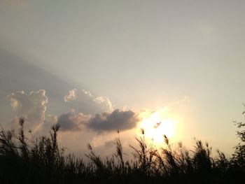 Low angle view of silhouette trees against sky at sunset