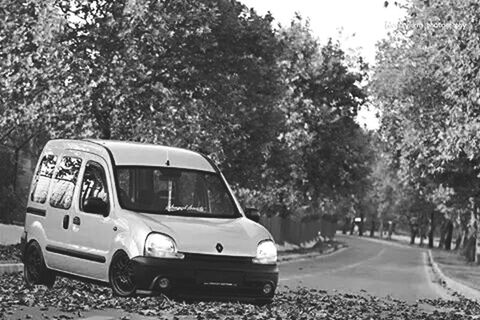 transportation, car, land vehicle, mode of transport, tree, road, street, on the move, travel, the way forward, day, vehicle, sunlight, outdoors, clear sky, stationary, country road, no people, windshield, nature