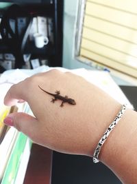 Cropped hand of woman with lizard