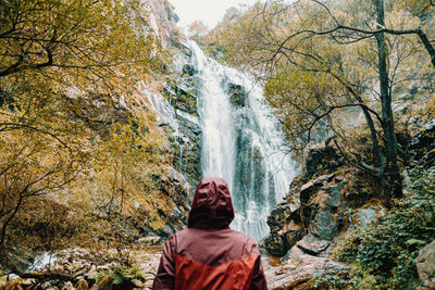 Rear view of man looking at waterfall