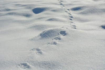 High angle view of footprints on snow covered field