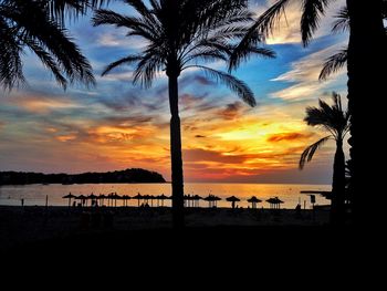 Silhouette of palm trees on beach