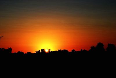 Silhouette of trees at sunset