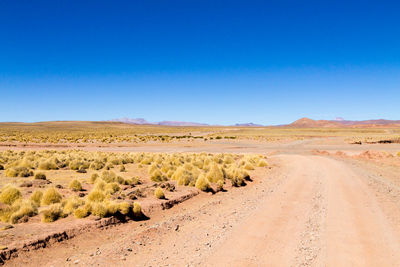 Scenic view of desert against clear blue sky