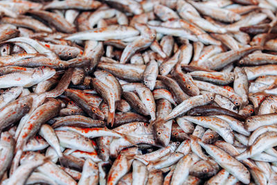 Full frame shot of fish for sale at market