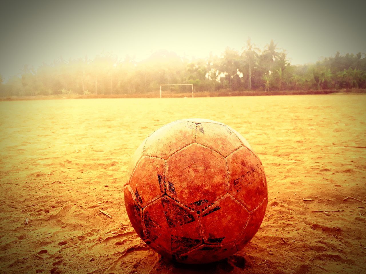ball, tree, nature, plant, no people, sphere, day, sport, land, close-up, vignette, sky, outdoors, tranquility, single object, sunlight, focus on foreground, tranquil scene, geometric shape, beauty in nature