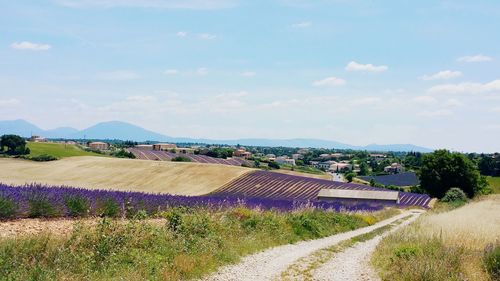 Road amidst agricultural field against sky