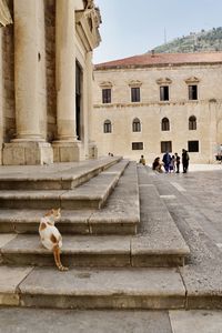 architecture