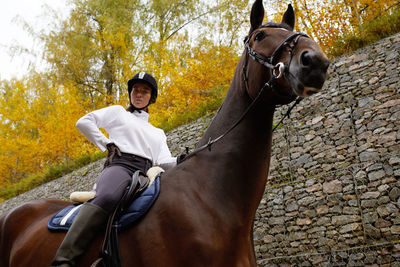 Horse standing on field