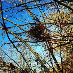 Low angle view of bare tree against sky