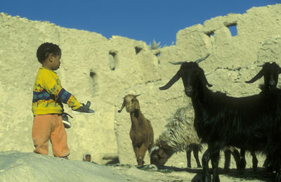 Side view of man riding horse on field