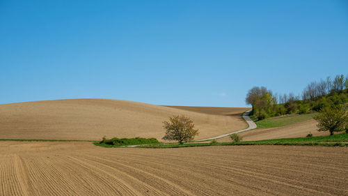 Scenic view of field against clear blue sky